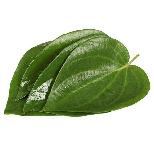 Betel Leaves Betel Leaves