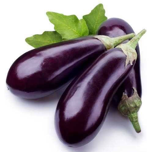 Brinjal Big Purple Brinjal-Big-Purple