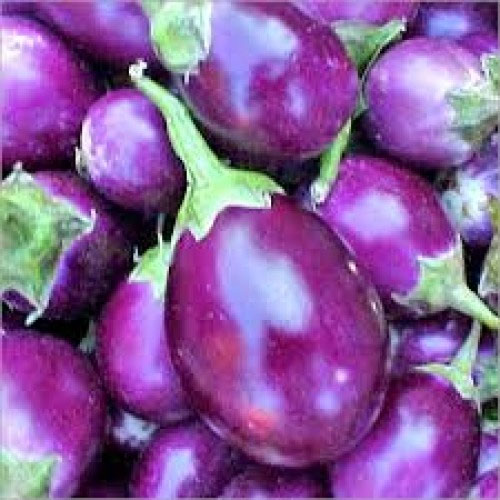 Brinjal Purple Image